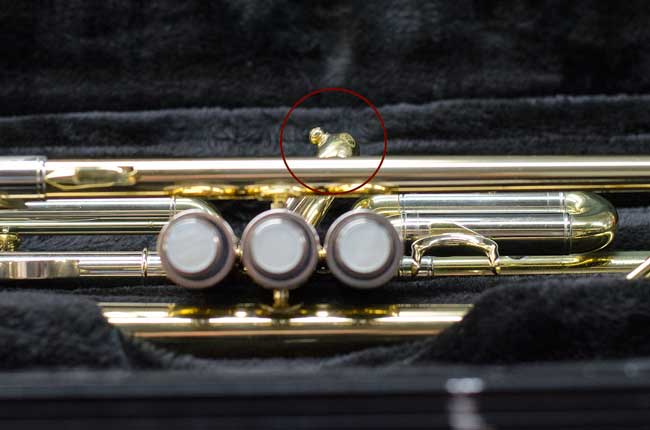 trumpet-closeup